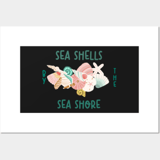 Sea Shells Posters and Art
